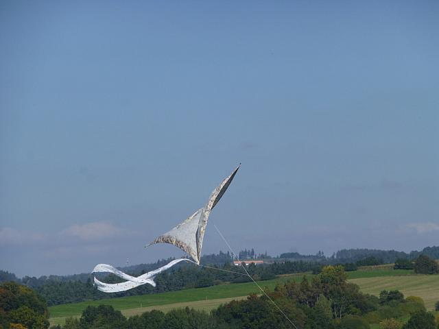 P1010007