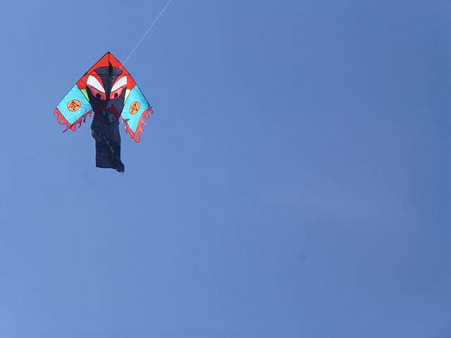 P1010019