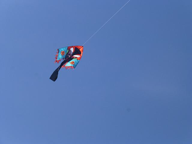 P1010020