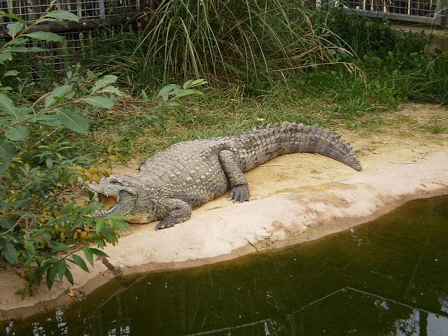 P9050361