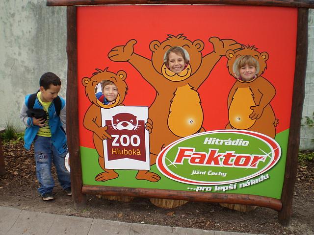 P9050381