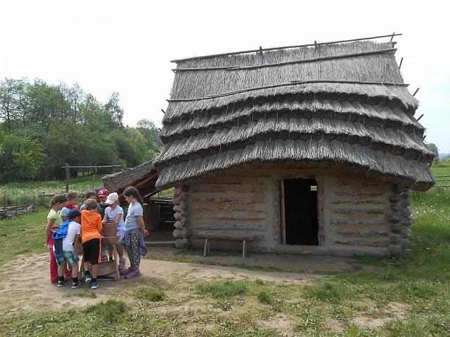 DSCN0666