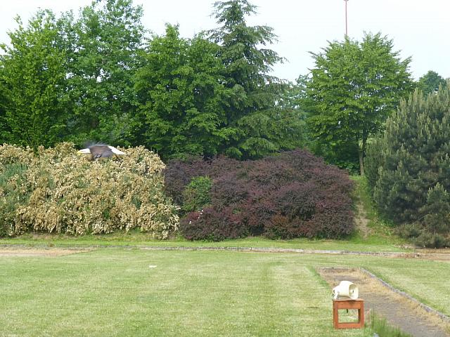 P1050936