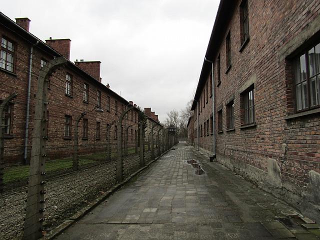 IMG 0150