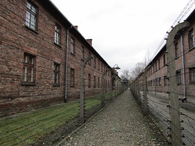 IMG 0151