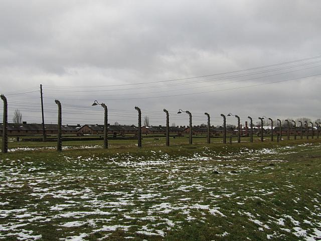 IMG 0169