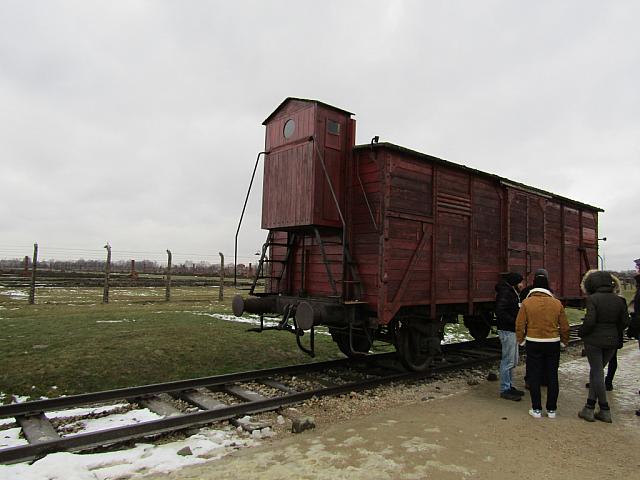 IMG 0173