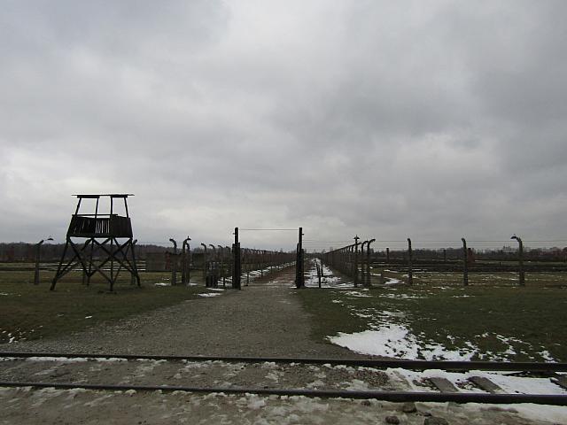 IMG 0175