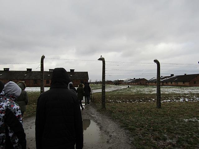 IMG 0187