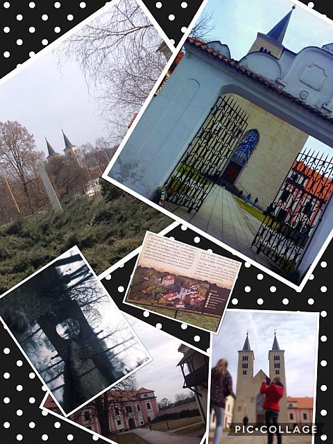 collage3