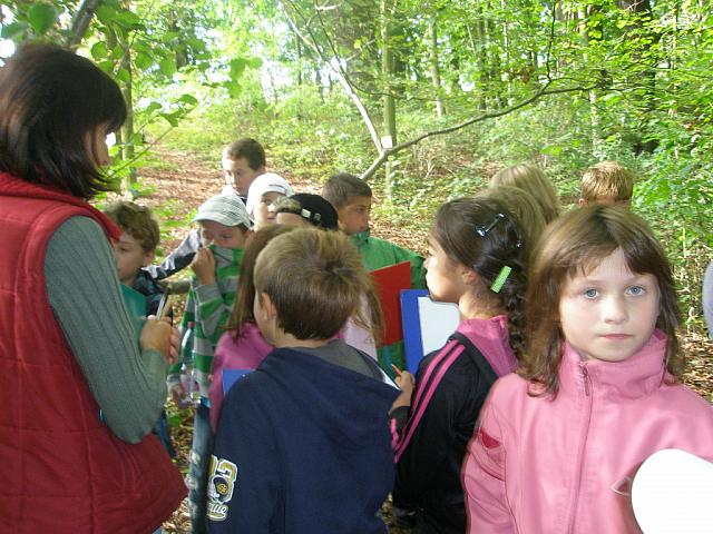 PA040937