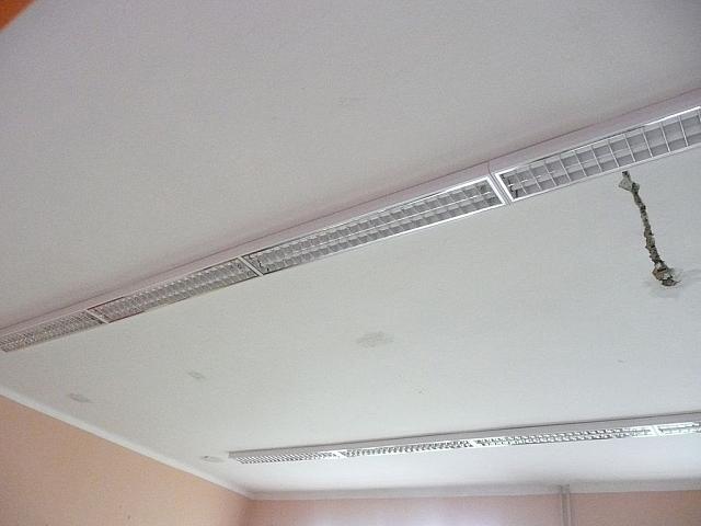 P1180202