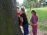 P9300016