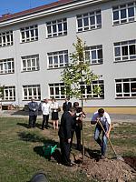 P9011764