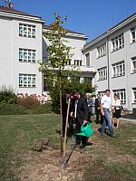 P9011786