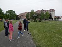 P5181767