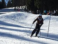 IMG 0229