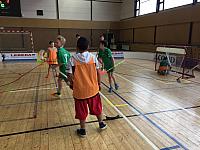 IMG 2962