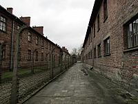 IMG 0150