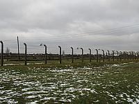 IMG 0169