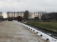IMG 0172