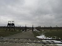 IMG 0175