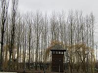 IMG 0179