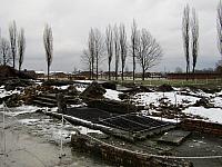 IMG 0181