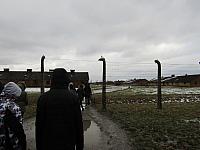 IMG 0187